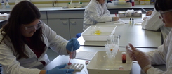 Boy with test tube